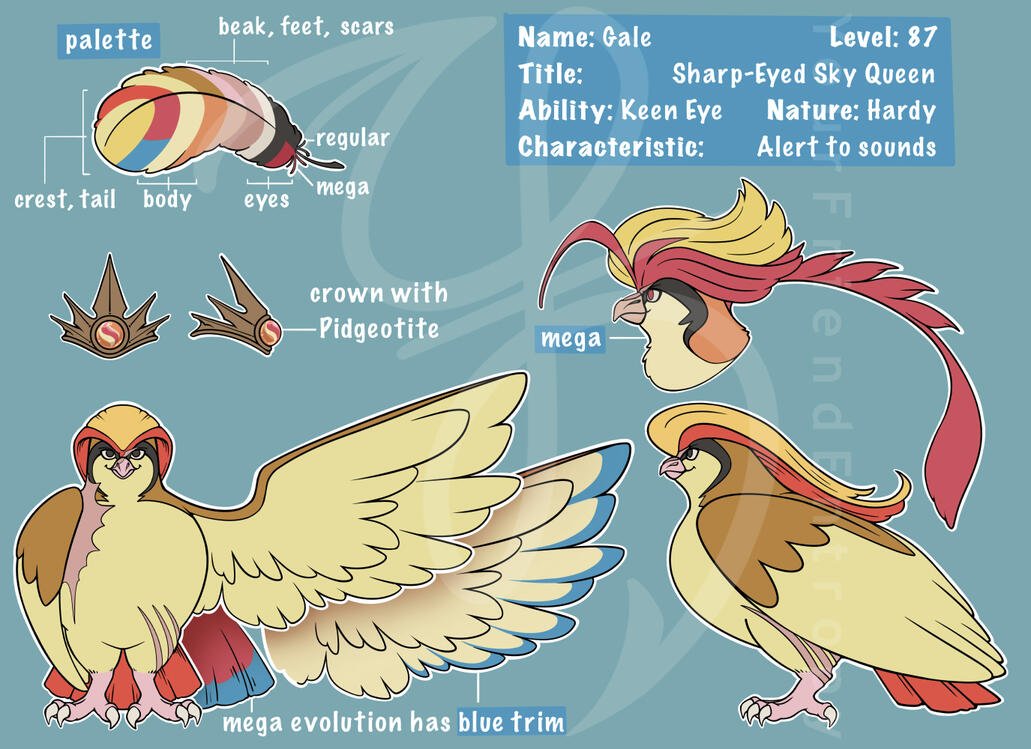 A digital reference sheet of a Pigeot and her accessories and Mega Pigeot form.
